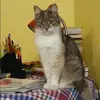 Отзыв от Яна Лукьянова